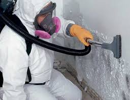 Asbestos and Lead Testing During Mold Inspection in Glasgow, DE